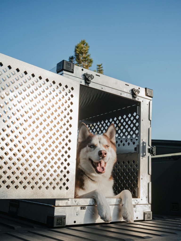 Looking for the best dog crate? This guide covers everything from sizing and types to tips for making it comfortable, ensuring your dog feels safe, happy, and at home."