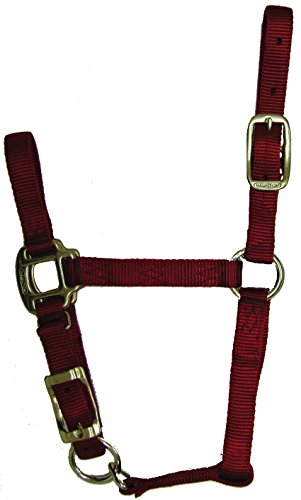 Hamilton 3/4-Inch Adjustable Quality Horse Halter, Weanling or Large Pony, Red