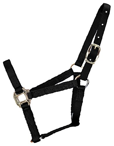 Hamilton 3/4-Inch Nylon Quality Horse Halter, Weanling or Large Pony, 200-300-Pound, Black