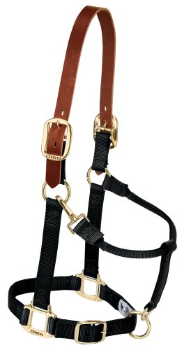 Weaver Leather Nylon Adjustable Breakaway Horse Halter, Large, Black