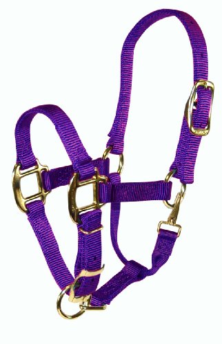 Hamilton Adjustable Quality 3/4-Inch Weanling Halter with Snap, 200 to 300-Pound Horse, Purple