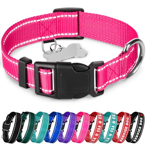 TECEUM Reflective Pet Collar – Hot Pink – M – Basic Nylon Dog Collar – Quick Release Buckle – Fits Small, Medium and Large Dogs, Puppies, Cats – ESA & Service Dog Options