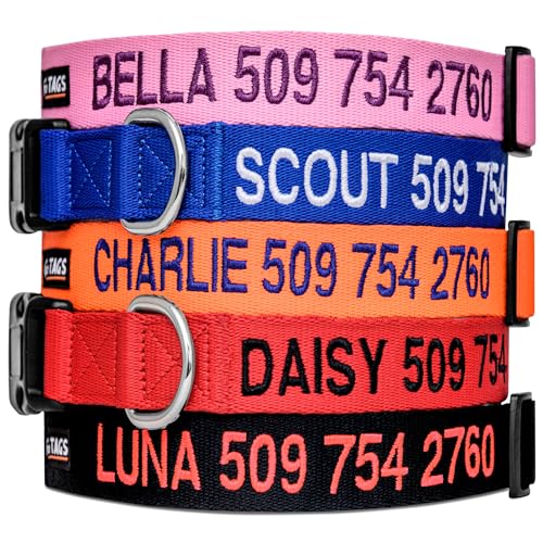 GoTags Personalized Dog Collar, Custom Embroidered with Pet Name and Phone Number in Blue, Black, Pink, Red and Orange, for Boy and Girl Dogs or Cats, Adjustable Sizes, Small, Medium, and Large