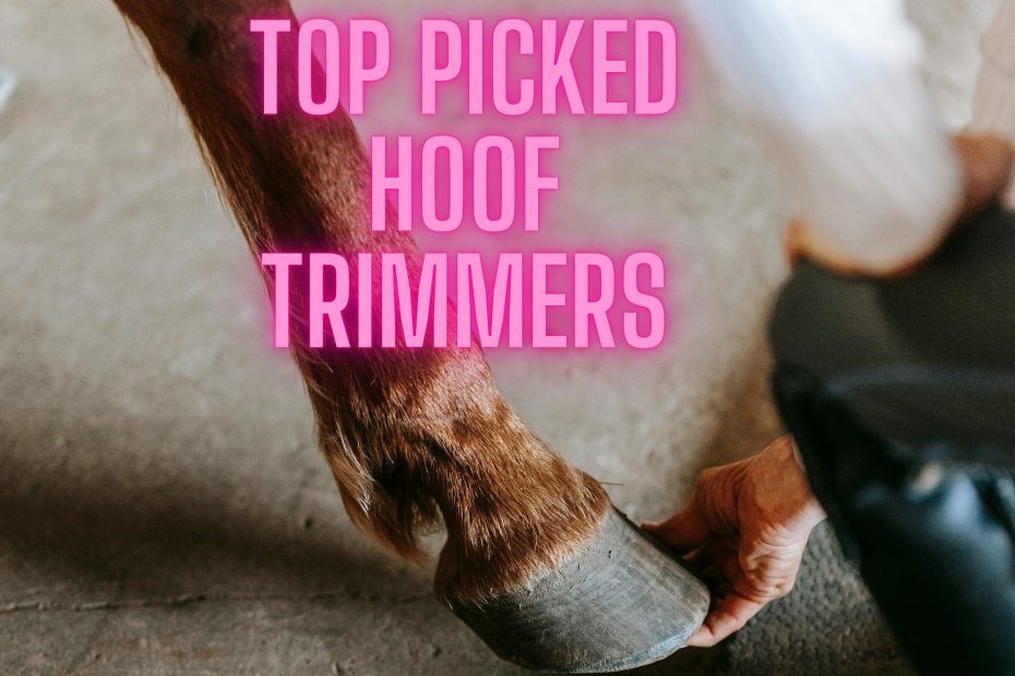 Top picked hoof trimmers