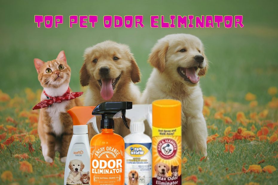 top pet odor eliminator